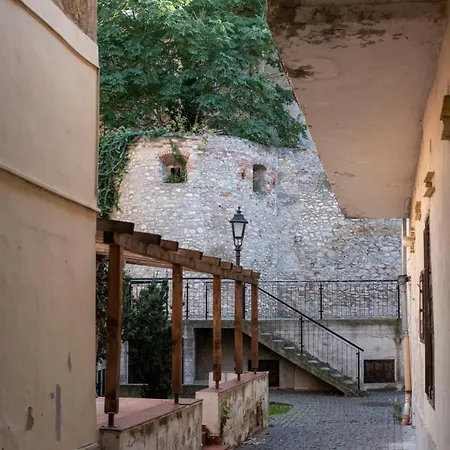 Varfal-lak * 쇼프론