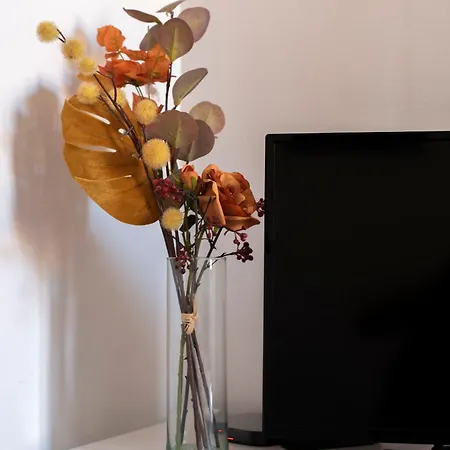 Varfal-lak 아파트 *